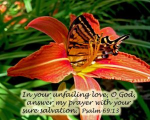 Psalm 69, swallowtail, tiger lilies swallowtail