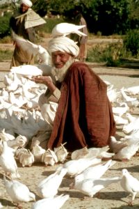 Afghan man mazaar i sharif