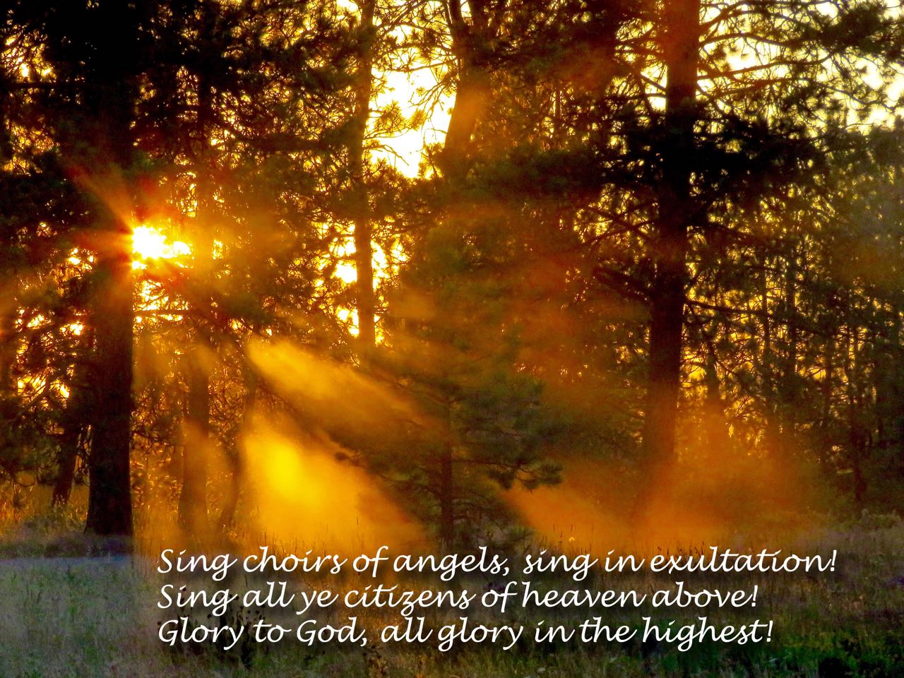 Sing choirs of angels