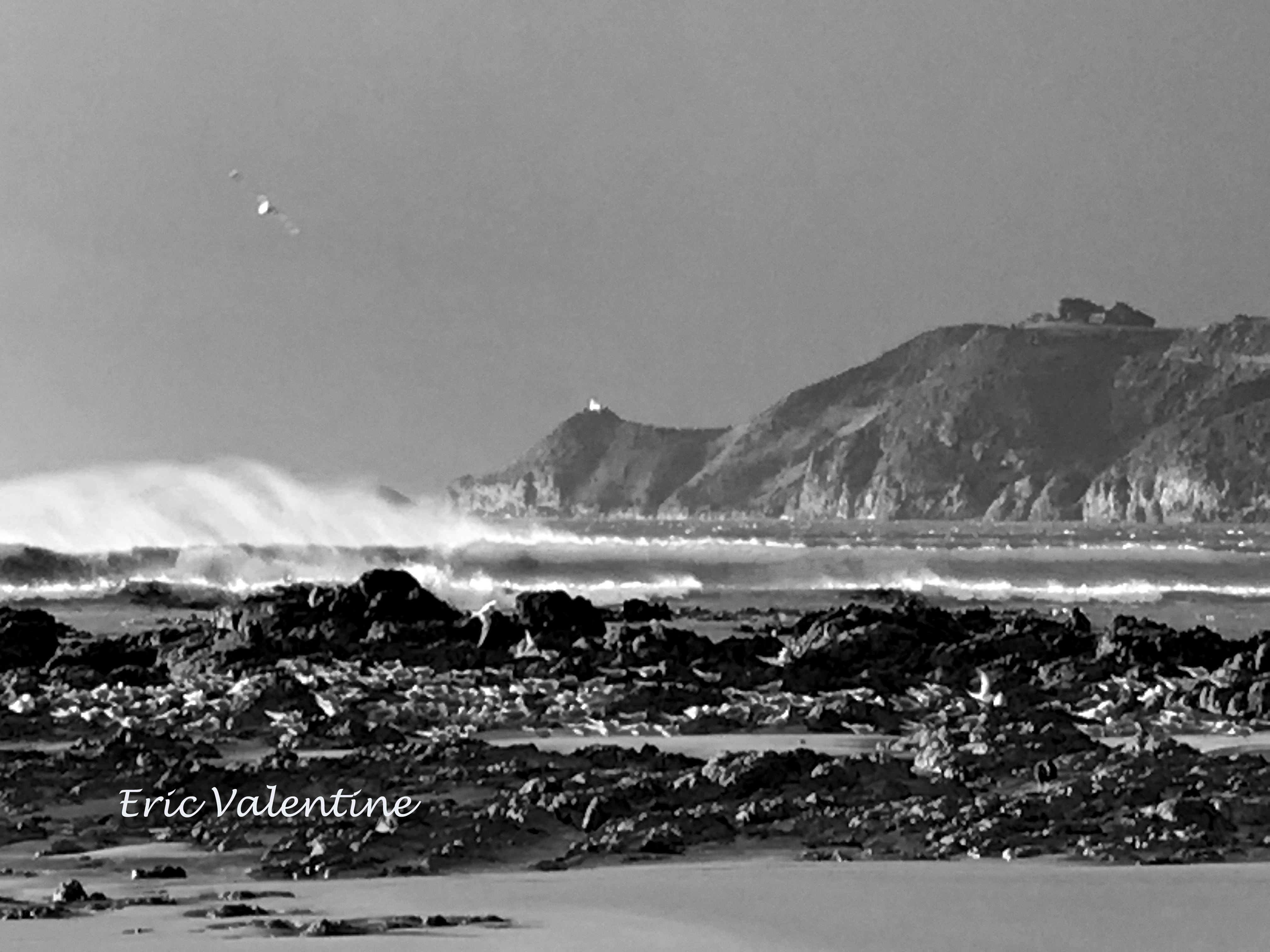 2 wmcatlins nugget point lighthouse gulls beach wave bw