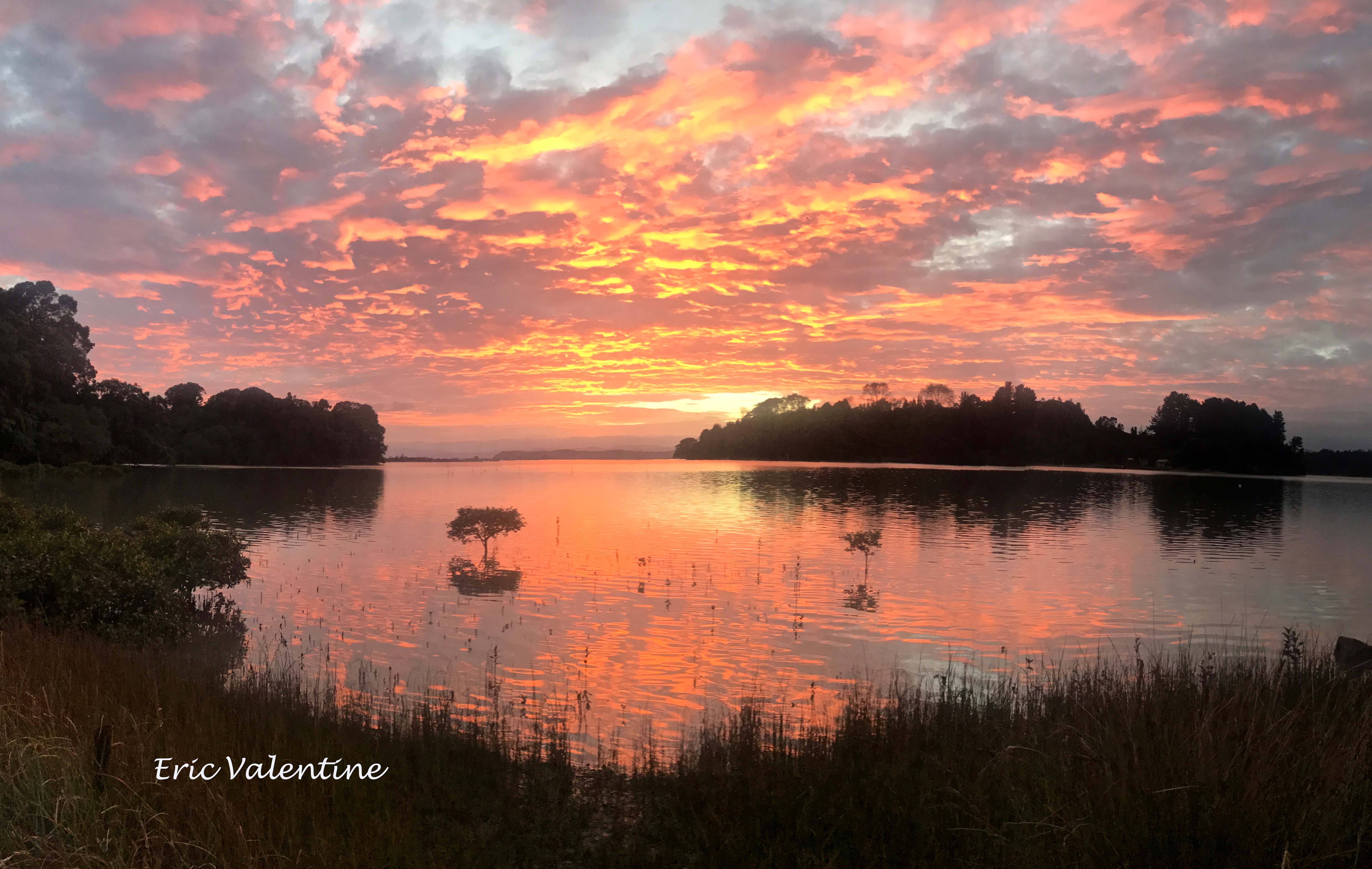 Ohiwa oyster farm Praise Photography