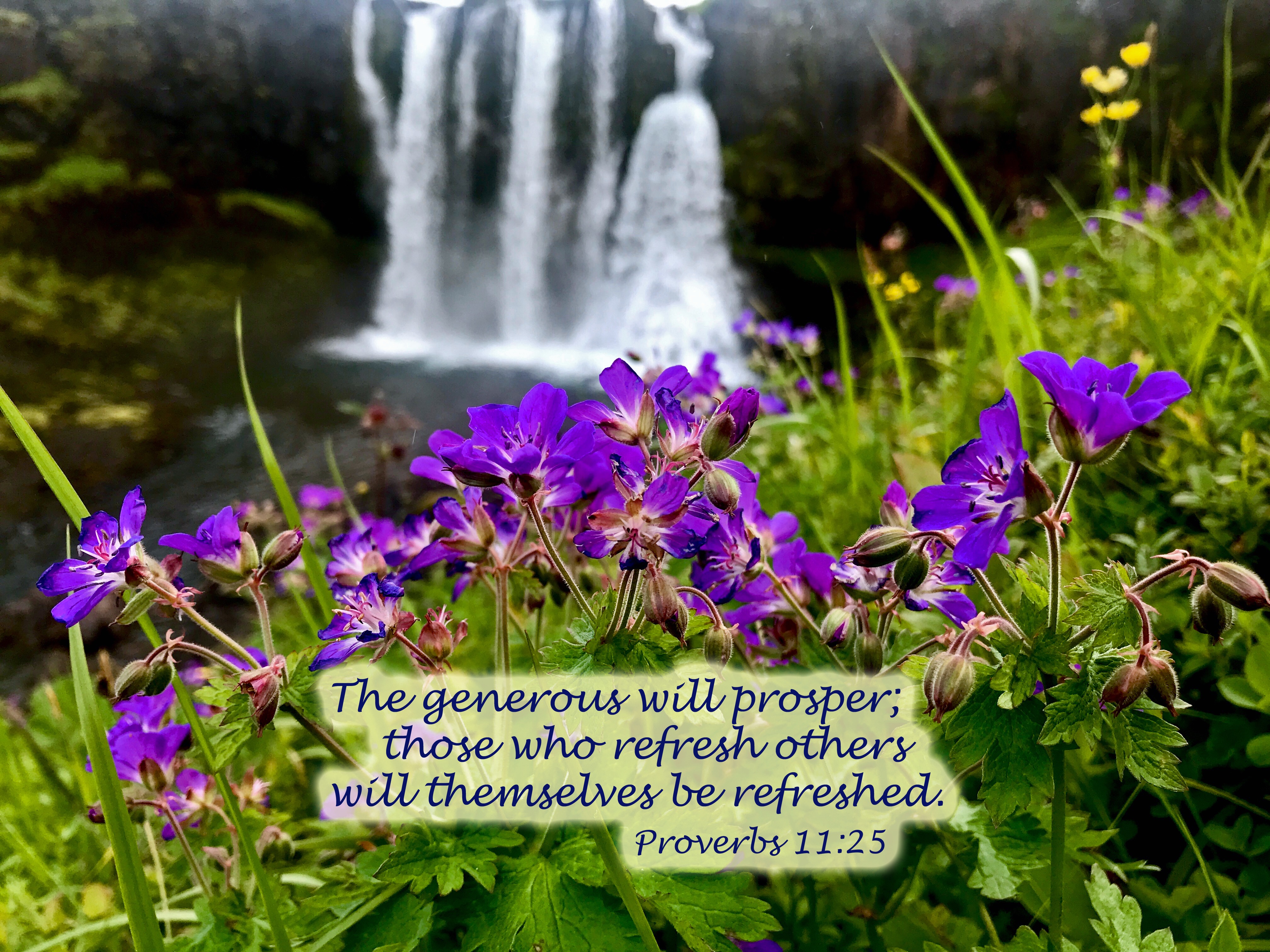 Proverbs 11 25