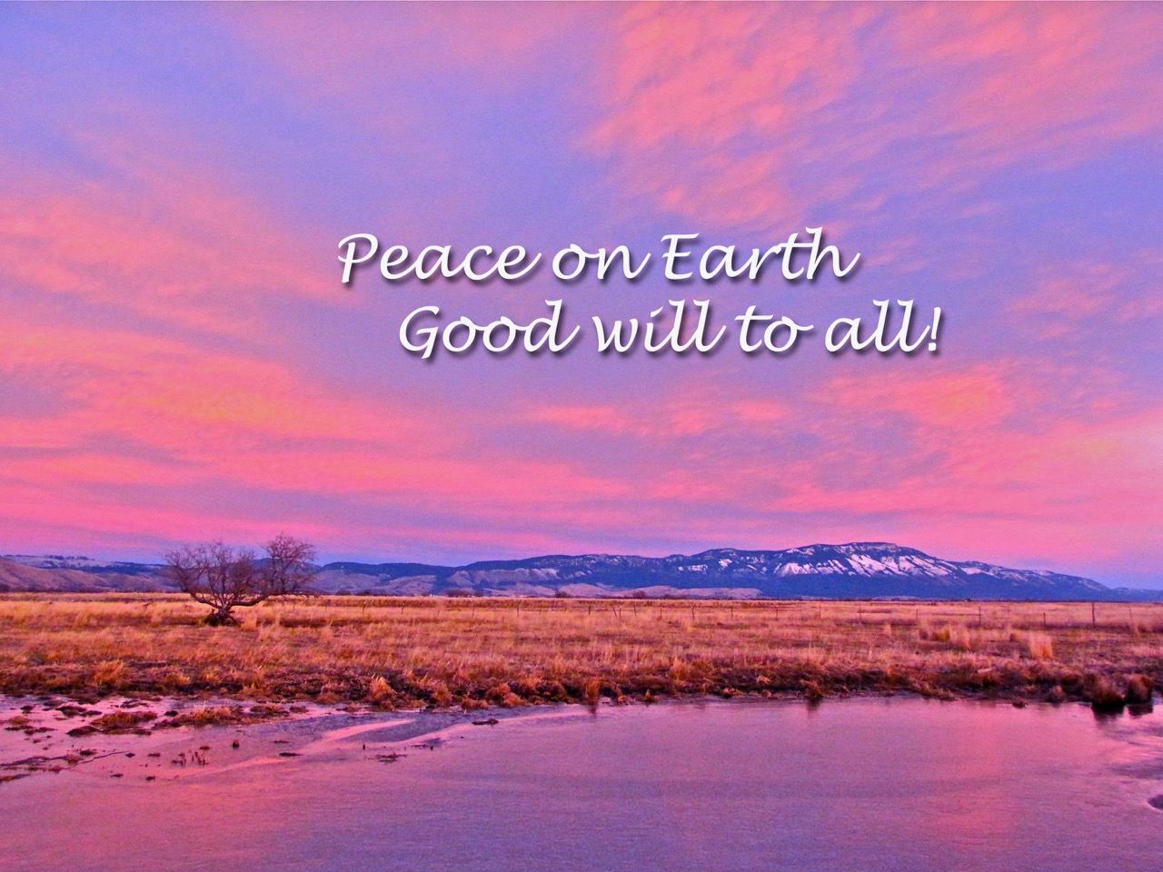 Peace of earth mt emily