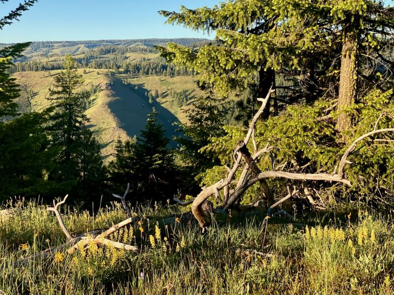 Wilbur Mountain, Umatilla National Forest Praise Photography