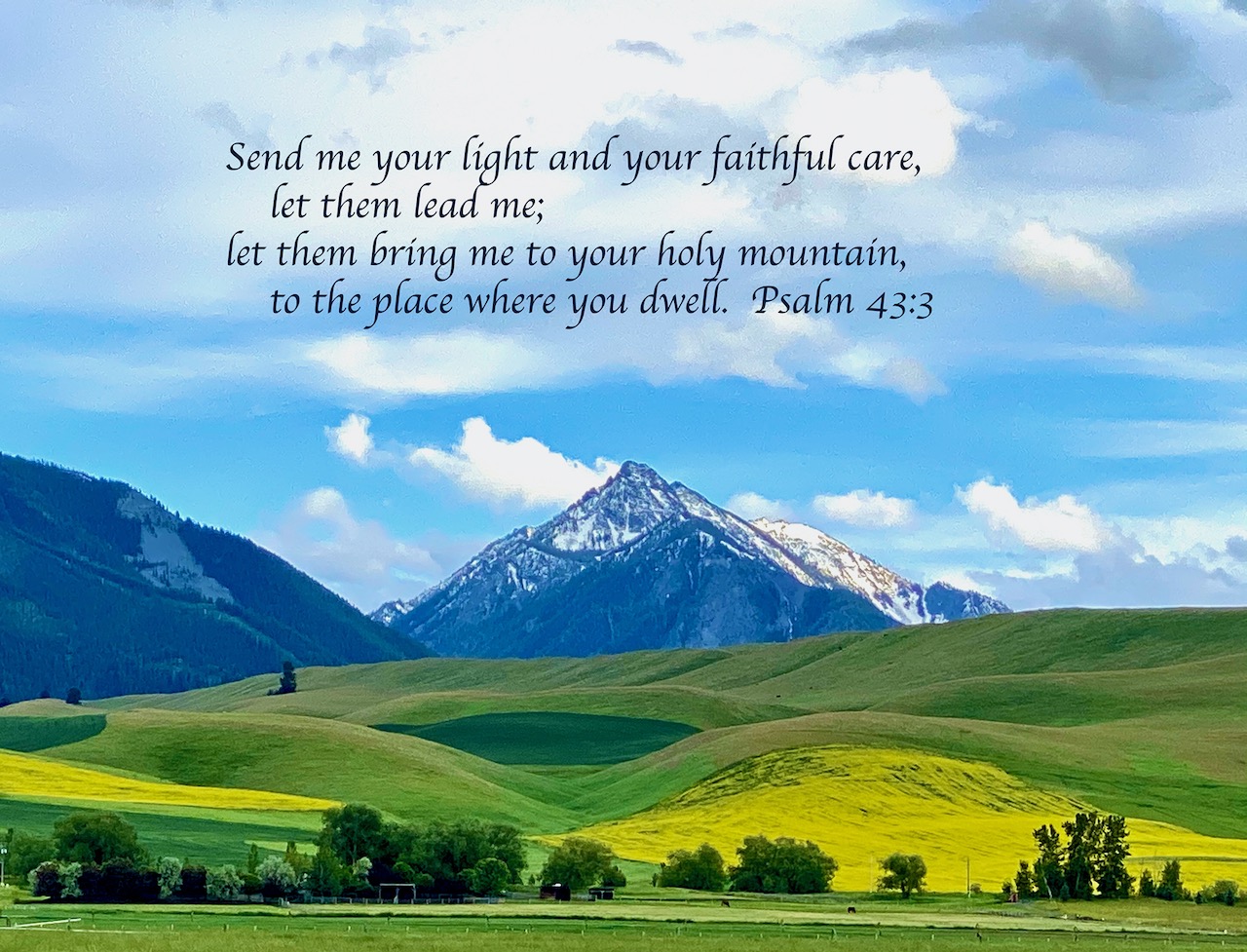 Psalm 43